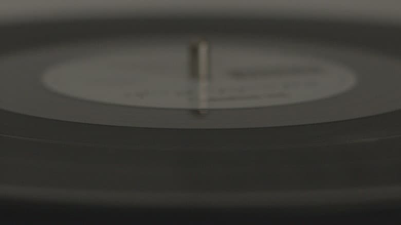 The Vinyl Player