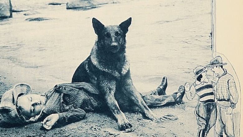 The Big Stunt