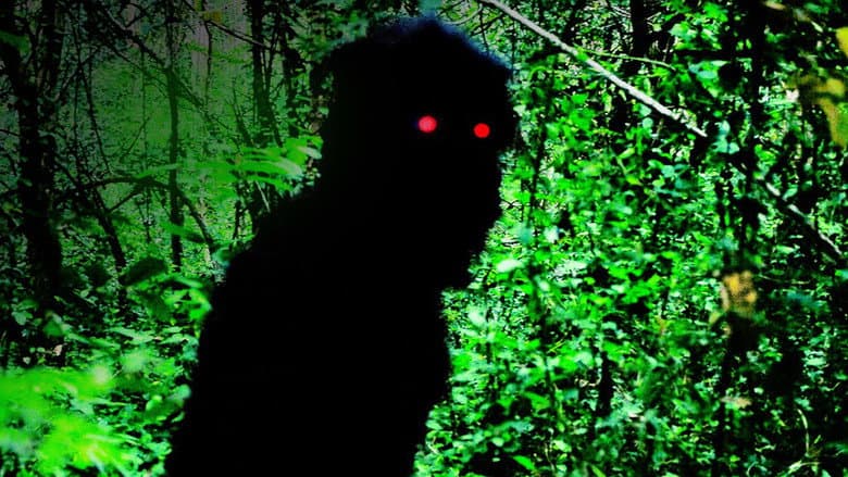 Uncle Boonmee Who Can Recall His Past Lives