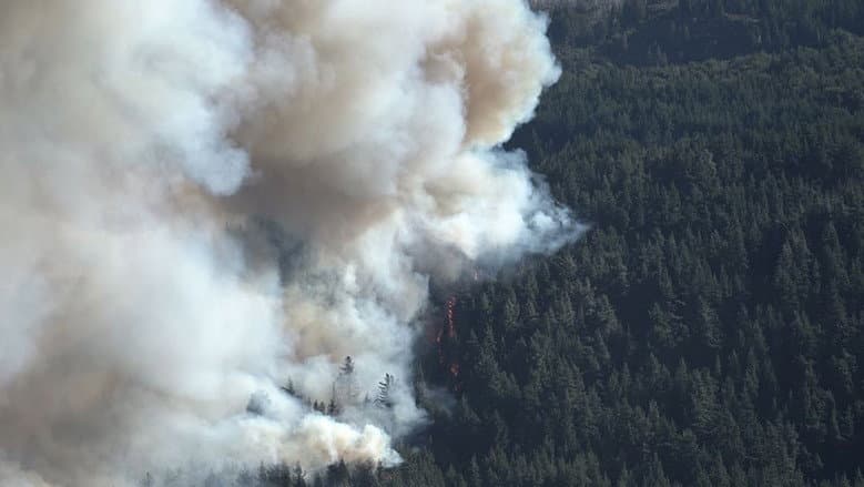 Ecos del Fuego