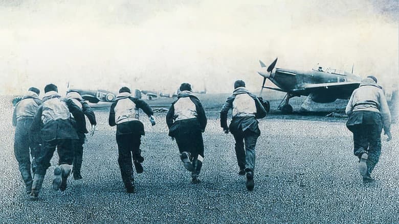 Heroes of the Skies